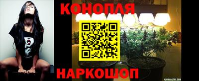 сатива Балаково
