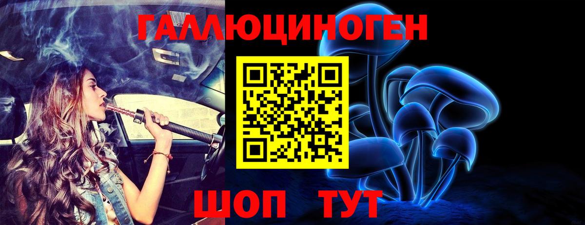 Галлюциногенные грибы Psilocybine cubensis Благодарный