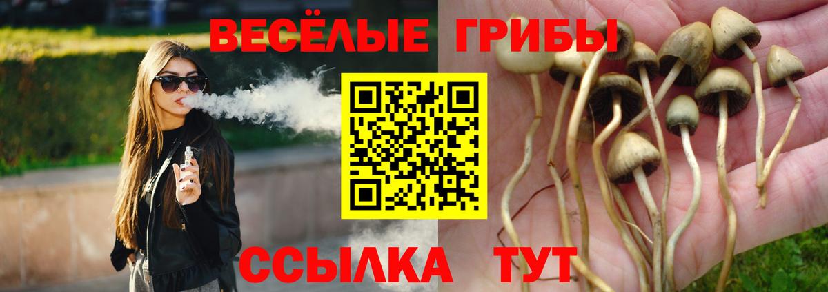 Галлюциногенные грибы MAGIC MUSHROOMS  Галлюциногенные грибы GOLDEN TEACHER  сколько стоит  Благодарный 