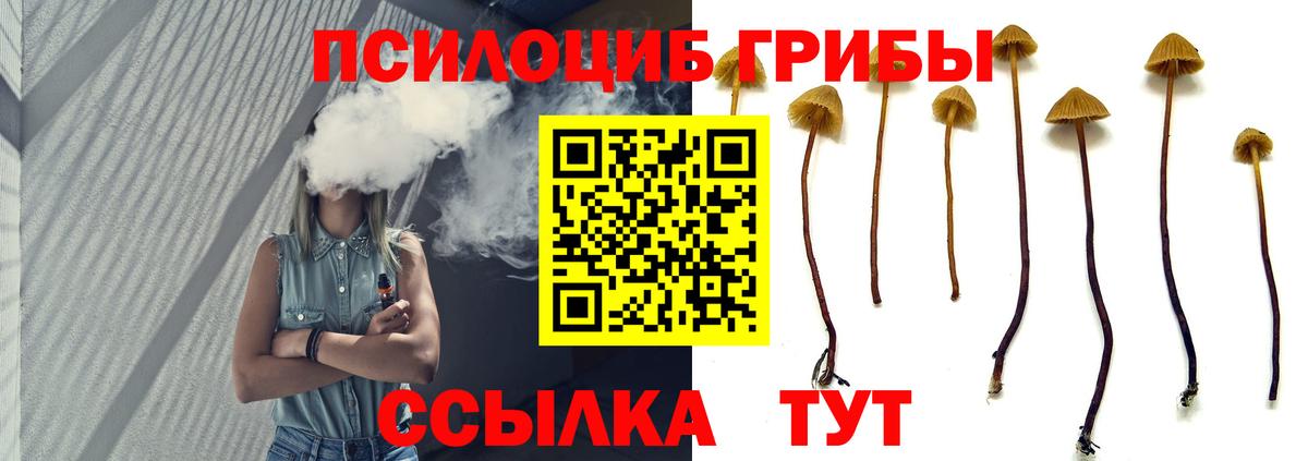 Псилоцибиновые грибы ЛСД Благодарный