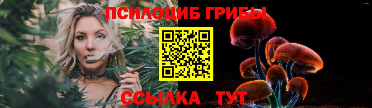 Псилоцибиновые грибы Psilocybe  Вход с VPN  сколько стоит  Благодарный 