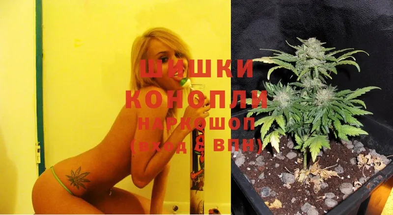 где найти   Благодарный  Бошки марихуана Ganja 